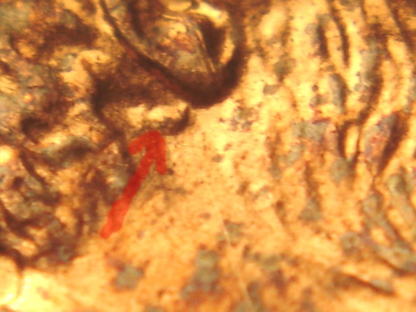 2006-P-1-DO--018--Lincoln-Memorial-Cent-What-Stage?